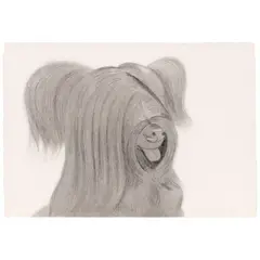 Alex Katz, Sunny (Schröder 75), 1974, Aquatint and drypoint on German Etching paper