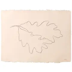Ellsworth Kelly, Oak VII, from Oak Leaves (Axsom 265, Gemini 1567), 1992, Lithograph on Koller HMP paper