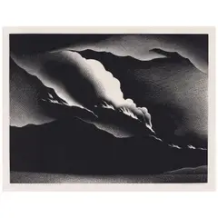 Paul Landacre, Death of a Forest (Wien 204, Zeitlin & Ver Brugge 79), 1937, Wood engraving on japon paper