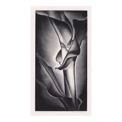 Paul Landacre, Growing Corn (Wien 209, Zeitlin & Ver Brugge 90), 1938, Wood engraving on japon paper