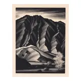 Paul Landacre, Smoke Tree (Wien 290, Zeitlin & Ver Brugge 107)