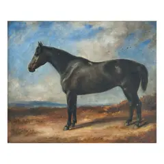 English School, Black horse in a landscape, oil on panel