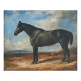 English School, Black horse in a landscape, oil on panel