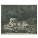 John Dixon, A Tigress, mezzotint