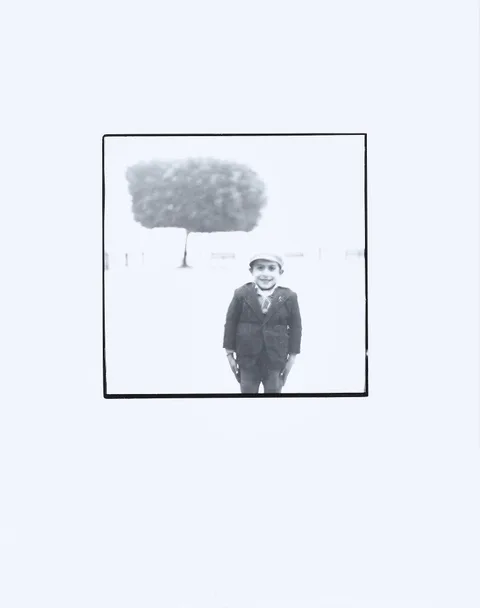 Richard Avedon, Sicily, Italy, #19, Boy in Tree, Noto, 1947, gelatin silver print