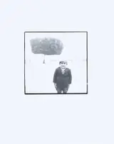 Richard Avedon, Sicily, Italy, #19, Boy in Tree, Noto