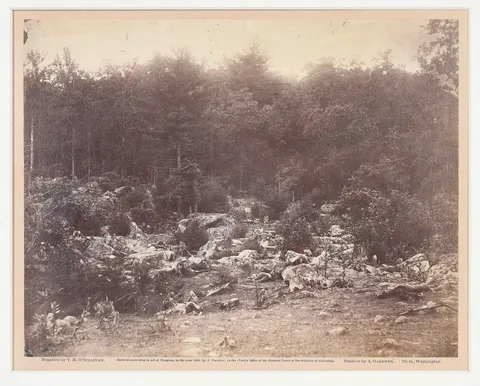 Timothy O'Sullivan and Alexander Gardner, (American, 1863, albumen print on original mount with original type in lower margin