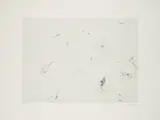 Rosemarie Trockel, Haarbild