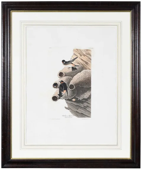 John James Audubon, Republican or Cliff Swallows, 1827-1838, hand-colored etching