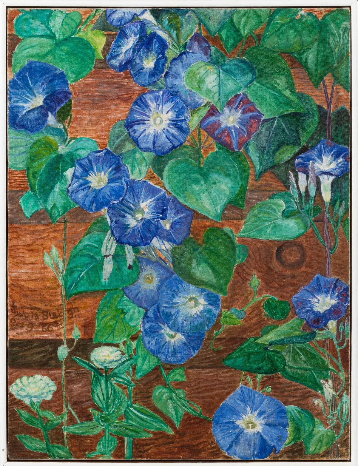 Sylvia Sleigh, Morning Glories, Aquatex on canvas