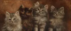 Agnes Augusta Talboys, Four Kittens, Oil on Canvas