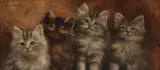 Agnes Augusta Talboys, Four Kittens, Oil on Canvas