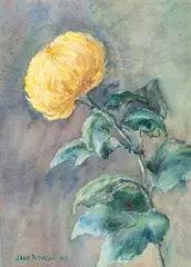 Jane Peterson, Still Life with Chrysanthemum, 1925, Watercolor on Paper