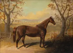 John E. Ferneley Sr., Portrait of a Thoroughbred, Oil on Canvas, Ca.