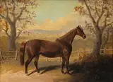 John E. Ferneley Sr., Portrait of a Thoroughbred, Oil on Canvas, Ca.