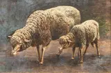 L. Rebecca Knox, Ewe and Lamb, Oil on Canvas, Ca.