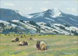 Sven Lindauer, Buffalo Springs, Oil on Masonite