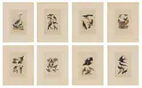 Alexander Wilson, Engraved by William Home Lizars (1788-1859) Hand Colored Engravings, on Paper 'American Ornithology: 8 Wor