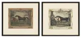 Thomas Spencer, Equestrian Portraits: Two Plates, Engraved by Richard Houston (1721-1775) Hand Colored Engravings on Paper