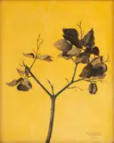 Frederick Papsdorf, Dried Lilac Leaves, 1940, Oil on Canvas