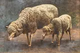 L. Rebecca Knox, Ewe and Lamb, Oil on Canvas, Ca.