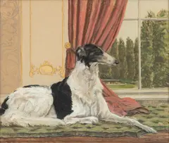 William McPherson, Trezor Czarevna, 1966, Oil Pastel on Paper, Portrait of the Borzoi