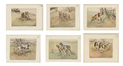 Henry Wilkinson, Hand Colored Etchings, on Paper 'Salukis; Royal Callies; English Bull Terriers; Norwich Terriers; Border Terriers;