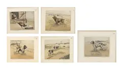 Henry Wilkinson, Black and White Cocker; English Spaniels; Water Spaniel; the Visitor; Pointer, Hand Colored Etchings on Paper
