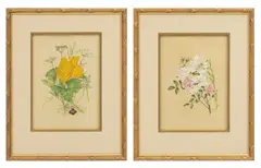 Rosa M. Townes, The Plant Lore of Shakespeare: Two Plates, 1974, Hand Colored Engravings on Paper