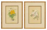 Rosa M. Townes, The Plant Lore of Shakespeare: Two Plates, 1974, Hand Colored Engravings on Paper