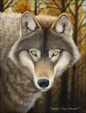 Michael Glenn Monroe, Untitled, 2007, Oil on Canvas, Wolf Portrait