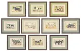 Paul Mahler, Les Chiens, Le Gibier Et Ses Ennemis Ca. 1930s, Offset Chromolithographs on Paper, Ten Dogs from