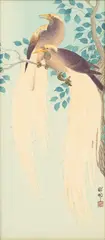 Ohara Koson, Two Birds of Paradise on Branch, circa 1930, Woodblock Print on Paper