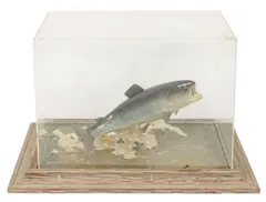 Kent L. Gordon, Polychrome Carved Wood, 1987, Sculpture of a Leaping Trout with Epoxy and Carved Wood Base