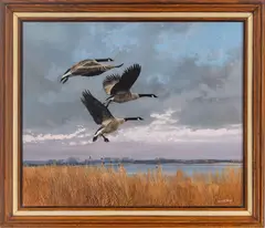 Gerald Lubeck, Landing, Oil on Canvas