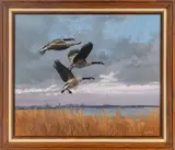 Gerald Lubeck, Landing, Oil on Canvas