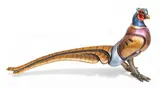 Jason Napier, Mr. Tuxedo, 2011, Bronze Sculpture