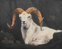 S. Dunn, Dall Ram, 1981, Oil on Canvas