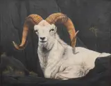 S. Dunn, Dall Ram, 1981, Oil on Canvas