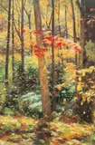 Richard Earl Thompson, Forest Scene, 1990, Oil on Canvas