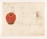 Jim Dine, the Tomato, 1973, Etching and Offset Lithograph in Colors, on German Etching Paper
