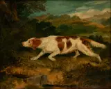 Sir Edwin Henry Landseer Ra, Red And White Setter on Point, 1821, Oil on Canvas