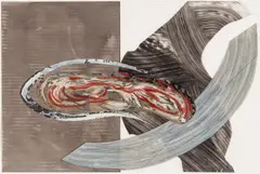 Nanette Carter, Fluid Borders #15, 2005, Oil on Mylar