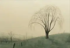Mike McDonnell, Elm Tree, Watercolor on Paper