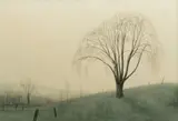 Mike McDonnell, Elm Tree, Watercolor on Paper