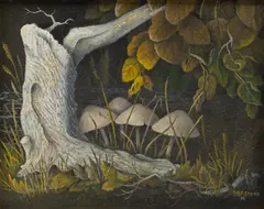 Fredrick Papsdorf, Weather Beaten Stump, 1974, Oil on Canvas