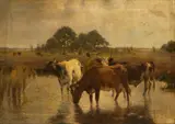 Emile Van Damme Sylva, Cows Watering in a Stream, 1891, Oil on Canvas