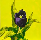 Charles Belle, Tout Autant Que Les Mots, 1998, Oil on Canvas