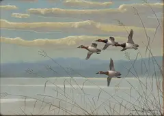 Courtenay Brandreth, Ducks in Flight, 1922, Watercolor And Gouache on Paper