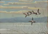 Courtenay Brandreth, Ducks in Flight, 1922, Watercolor And Gouache on Paper